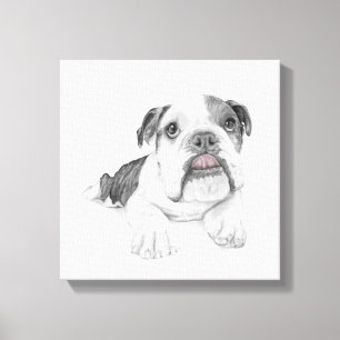 Lienzo Un Bulldog fácil de dibujar