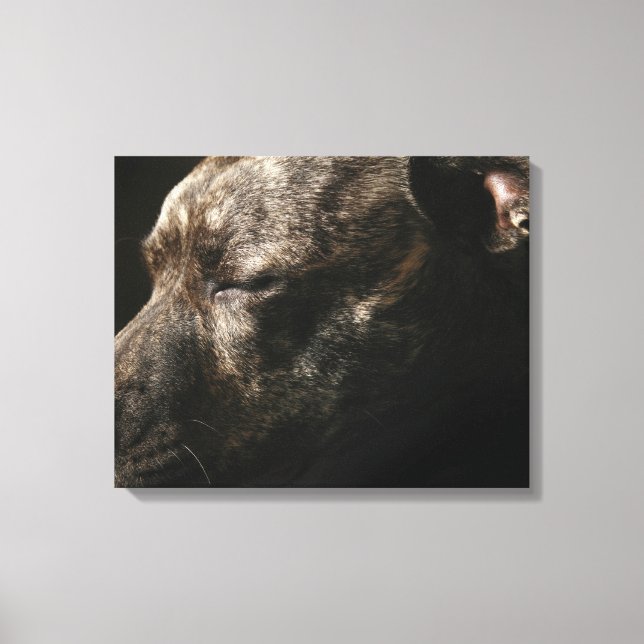Lienzo Un bulldog para dormir (Anverso)