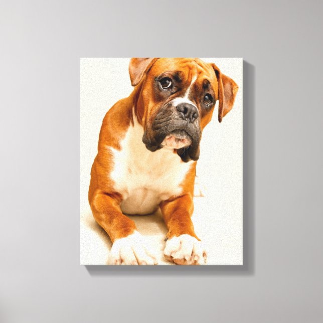Lienzo Un cachorro de boxer con fondo de crema de marfil. (Anverso)