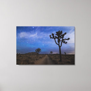 Lienzo Un camino desierto y árboles de Joshua de noche