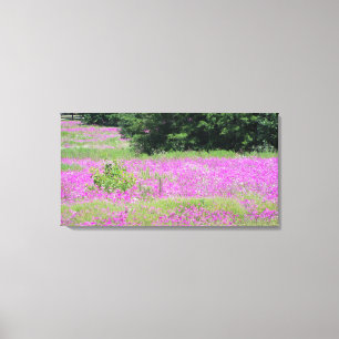 Lienzo Un campo de flores silvestres de primavera rosada