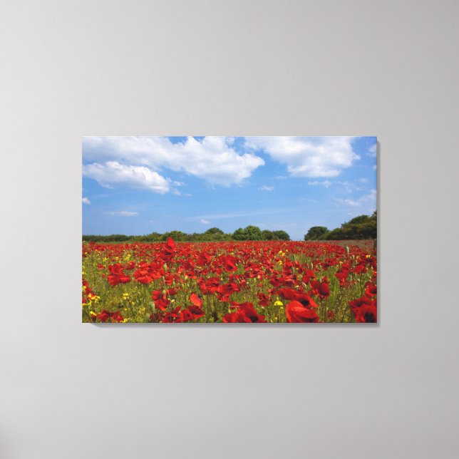 Lienzo Un Campo lleno de flores rojas (Anverso)