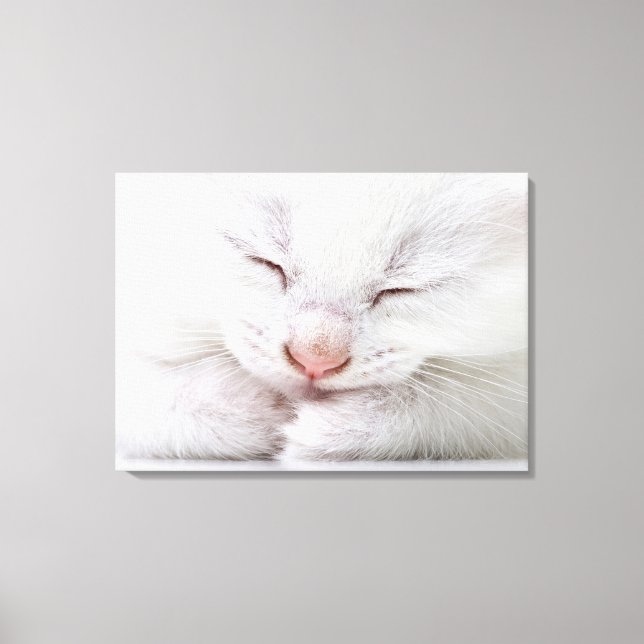 Lienzo Un cierre extremo de un blanco muy joven (Anverso)