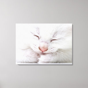 Lienzo Un cierre extremo de un blanco muy joven