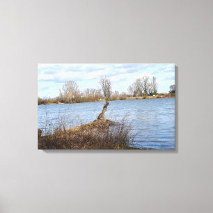 Lienzo Un día soleado en el río