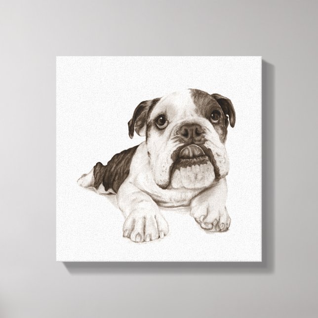 Lienzo Un dibujo de un Bulldog brindle (Anverso)