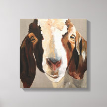 Un espectáculo de pintura de cabra en una pintura 