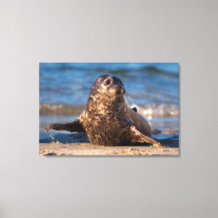 Lienzo Un foco de bebé se acerca a la piscina infantil