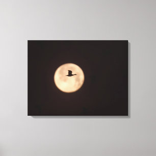 Lienzo Un ganso de las nieves contra una luna llena Nue