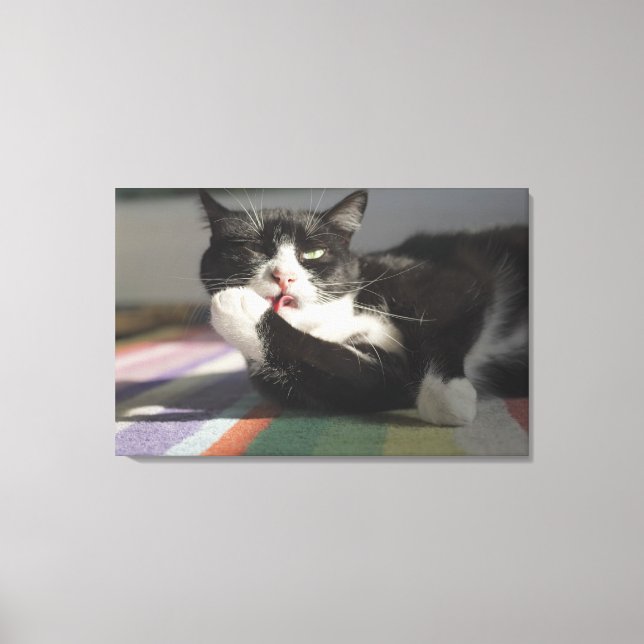 Lienzo Un gato golpeando es pata (Anverso)