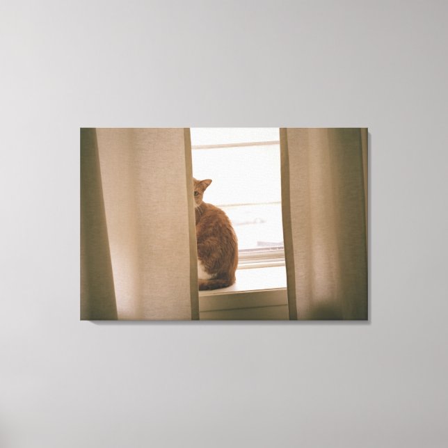 Lienzo Un Gato Sentado Detrás De Las Cortinas En Una Vent (Anverso)