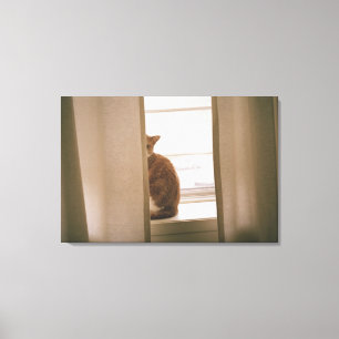 Lienzo Un Gato Sentado Detrás De Las Cortinas En Una Vent