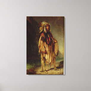 Lienzo Un indio norteamericano en un paisaje extenso,