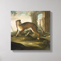 Un jaguar