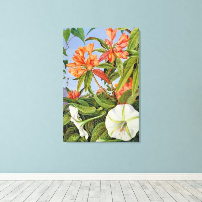 Lienzo Un Javan Rhododendrum e Ipomoea (Insitu (piso de madera))