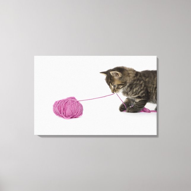 Lienzo Un joven gatito de tabby jugando (Anverso)