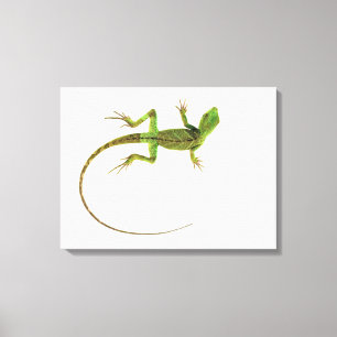 Lienzo Un lagarto en la tierra blanca pura