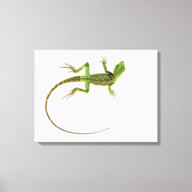 Lienzo Un lagarto en un suelo blanco puro (Anverso)