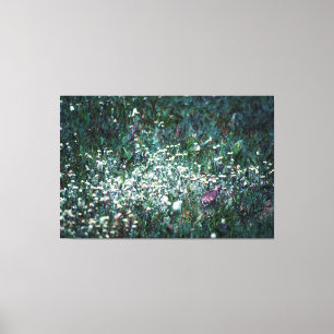 Lienzo Un laico en una pradera