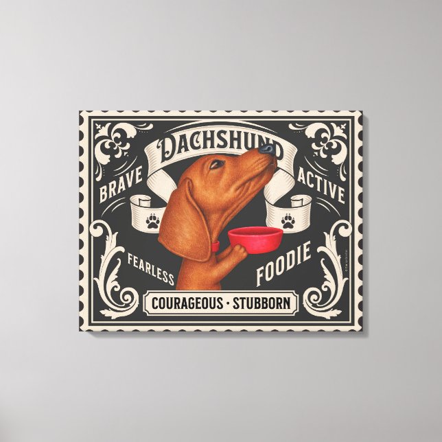Lienzo Un lindo Dachshund mendigando comida (Anverso)