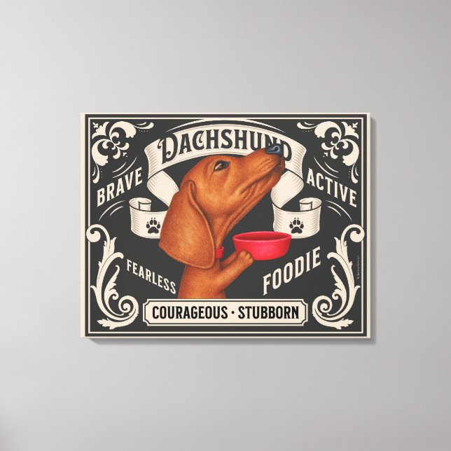 Lienzo Un lindo Dachshund mendigando comida (Anverso)