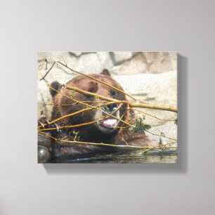 Lienzo Un lindo oso pardo jugando en el agua