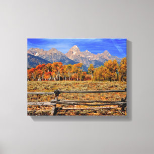 Lienzo Un momento en Wyoming en otoño