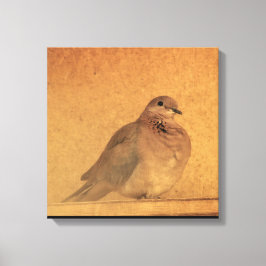 Lienzo Un momento inocente