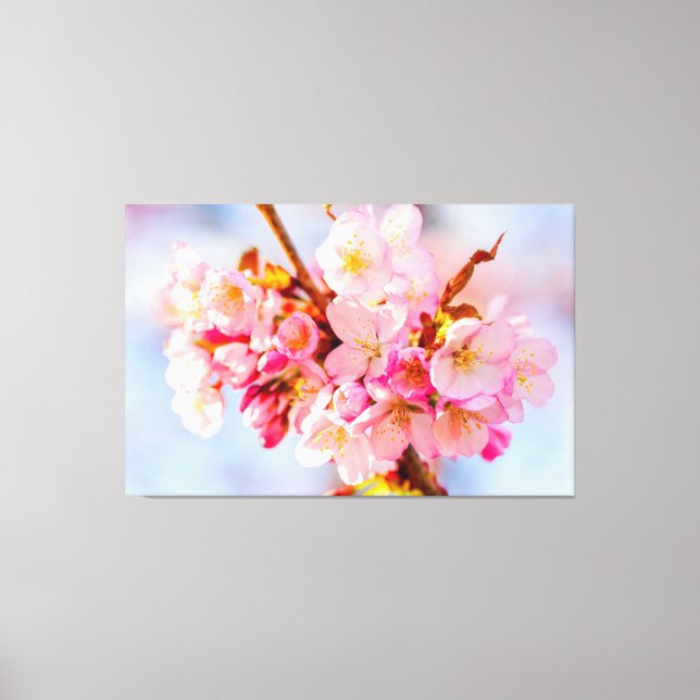 Lienzo Un Montón De Flores De Sakura Adorables Y Dulces (Anverso)