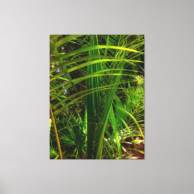 Lienzo Un nuevo forro de palma (Anverso)