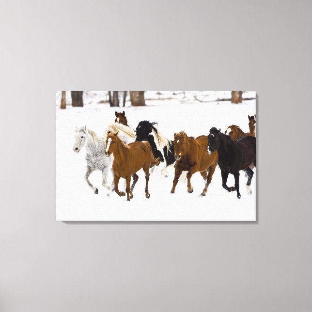 Lienzo Un paisaje invernal de caballos corriendo (Anverso)