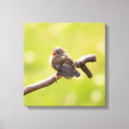 Lienzo Un pájaro lindo cantando alegremente en un día de