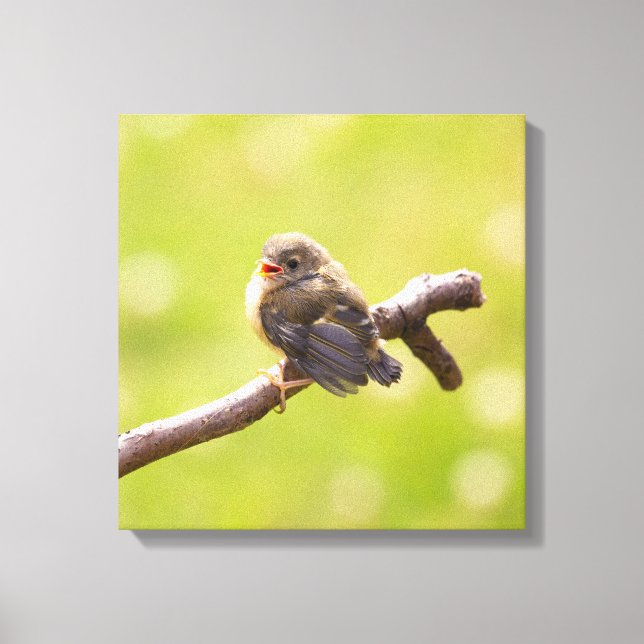 Lienzo Un pájaro lindo cantando alegremente en un día de  (Anverso)