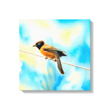 Un pájaro solitario y colorido