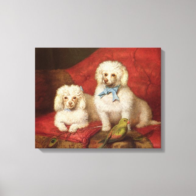Lienzo Un par de caniche (Anverso)