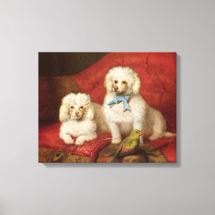 Lienzo Un par de caniches
