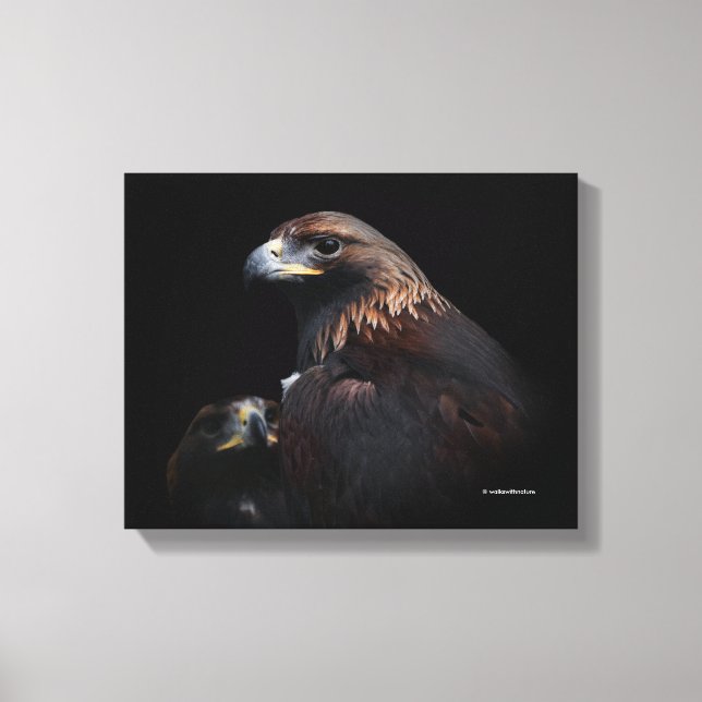 Lienzo Un par de hermosas águilas doradas (Anverso)