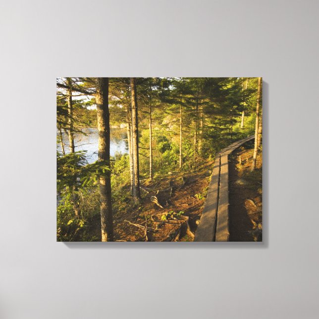 Lienzo Un paseo de madera en el Parque Nacional Acadia Ma (Anverso)