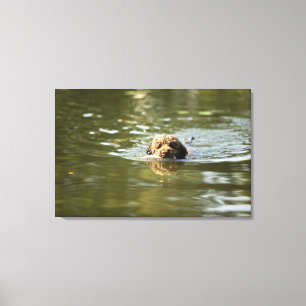 Lienzo Un perro juguetón se refresca apagado en el calor