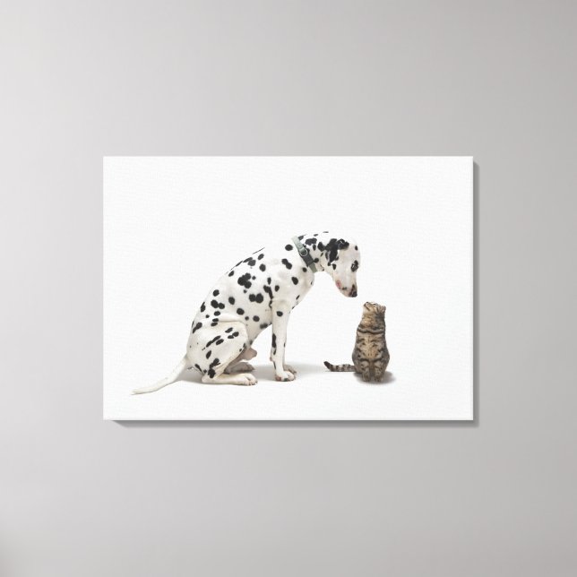 Lienzo Un perro mirando a un gato (Anverso)