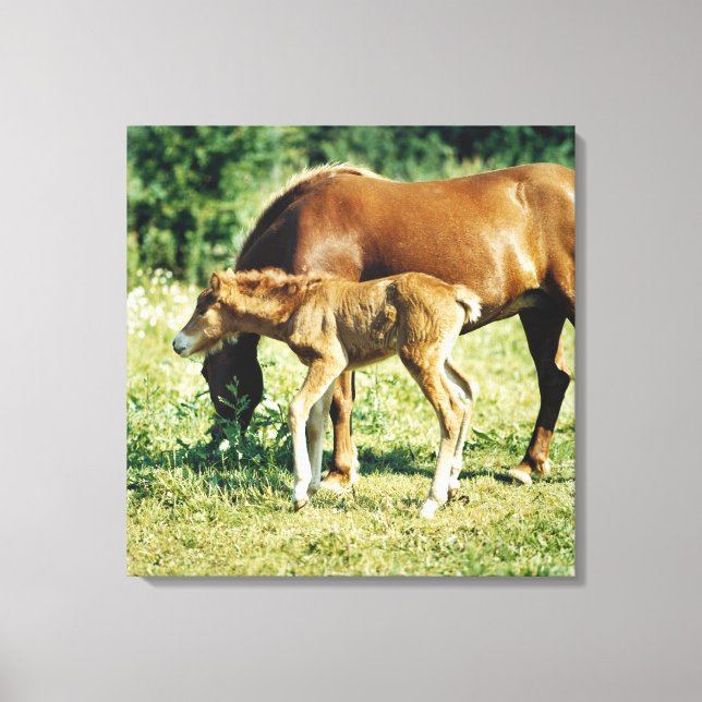 Lienzo Un potro y un caballo en un pasto. (Anverso)