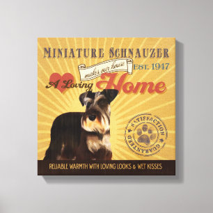 Lienzo Un Schnauzer miniatura cariñoso hace nuestro hogar