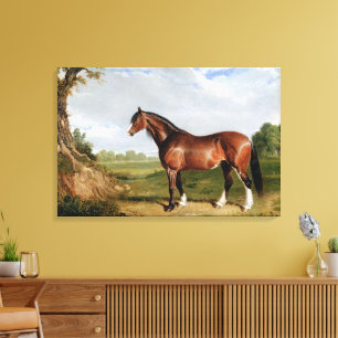 Lienzo Un semental Clydesdale