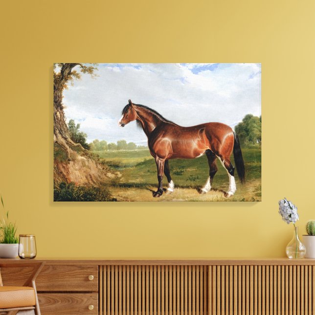 Lienzo Un semental Clydesdale (Insitu (Sala de estar))