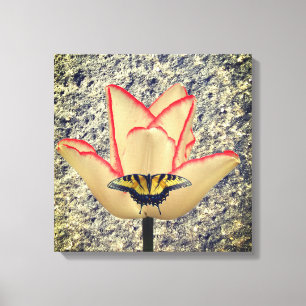 Lienzo Un tulipán y una mariposa
