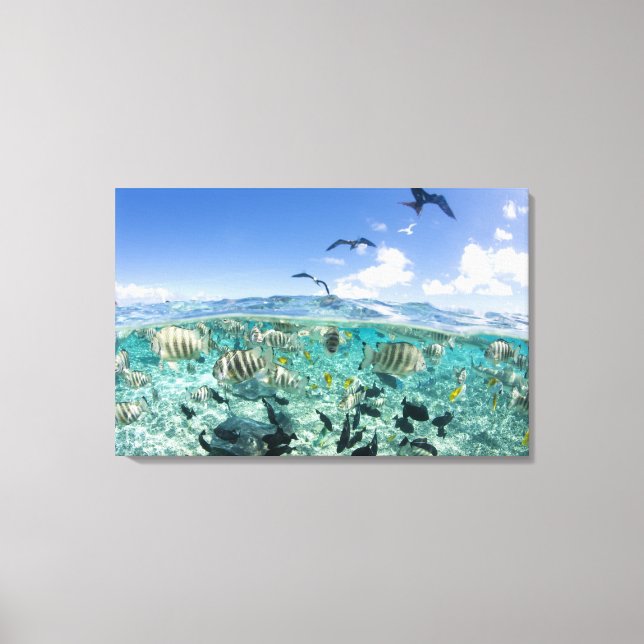 Lienzo Un viaje en safari por la laguna con Stingrays (Anverso)