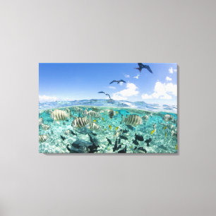 Lienzo Un viaje en safari por la laguna con Stingrays