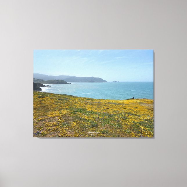 Lienzo Una California floreciente: Mori Point (Anverso)