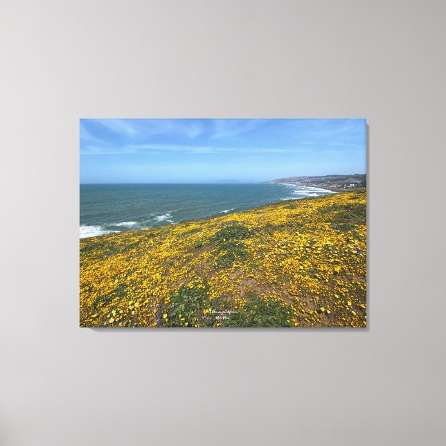 Lienzo Una California floreciente: Mori Point (Anverso)
