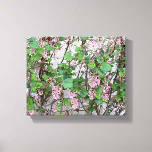 Lienzo Una California floreciente: Primavera En Rosa